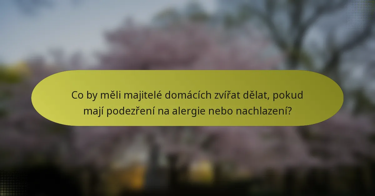 Co by měli majitelé domácích zvířat dělat, pokud mají podezření na alergie nebo nachlazení?