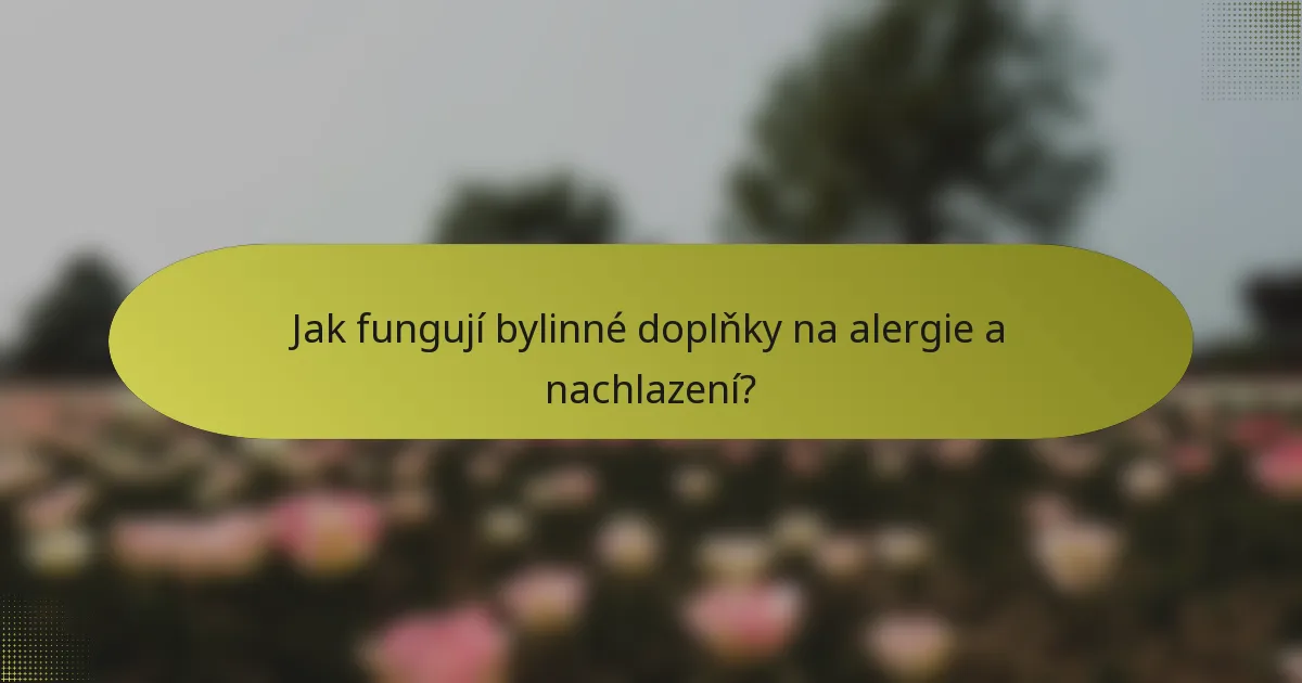 Jak fungují bylinné doplňky na alergie a nachlazení?