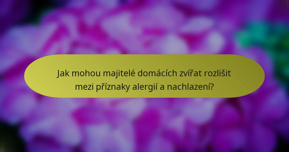 Jak mohou majitelé domácích zvířat rozlišit mezi příznaky alergií a nachlazení?