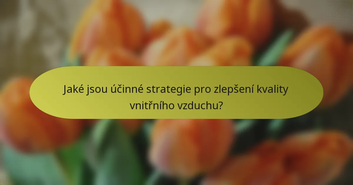 Jaké jsou účinné strategie pro zlepšení kvality vnitřního vzduchu?